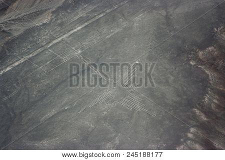 Bird Figure At Nazca Lines Seen From The Plane, Nazca Lines, Peru