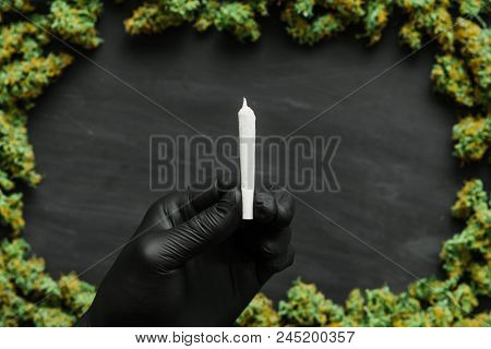 Grinder A Lot Ofx Marijuana, Fresh Buds Of Cannabis Many Weed. Copy Spase Copy-space