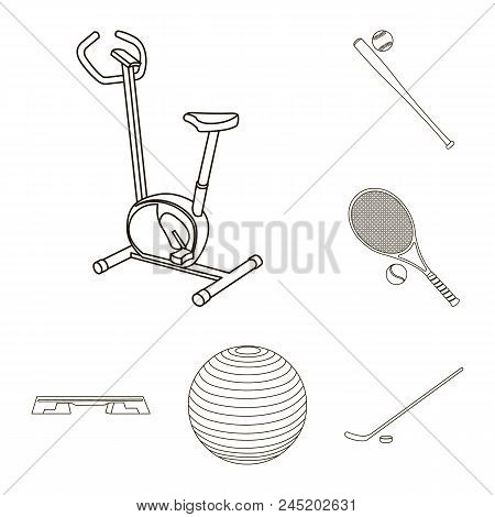 Different Kinds Of Sports Outline Icons In Set Collection For Design. Sport Equipment Vector Symbol 