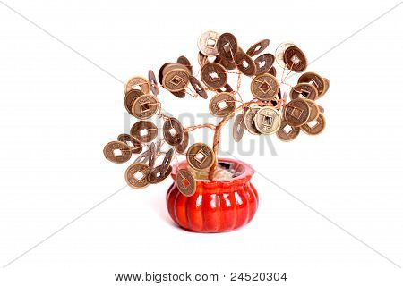 Chinese Money Tree