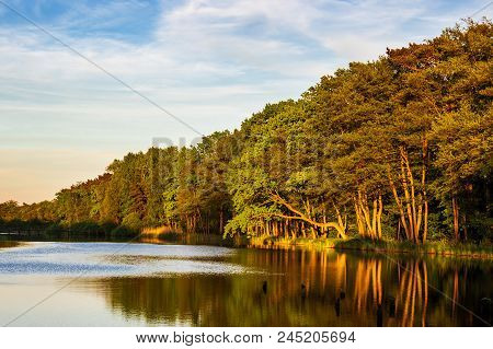 Landscape With Trees And Water In Prerow, Germany.