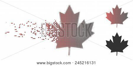Vector Maple Leaf Icon In Dispersed, Dotted Halftone And Undamaged Entire Versions. Disappearing Eff