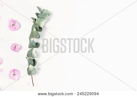 Green Floral Frame With Silver Dollar Eucalyptus And Pink Flowers On White Background With Copy Spac