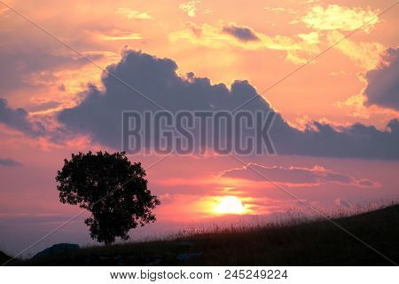 silhouette tree agaist colorful sky with clouds at the sunset, Montenegro