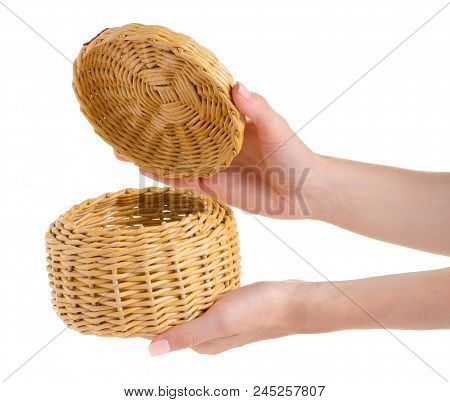 Casket Of A Vine In A Hand On A White Background Isolation