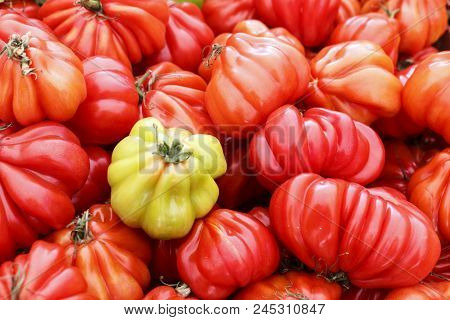 Oxheart Tomato Is A Large Beefsteak Type Tomato, Resembling An Ox Heart, Which Is A Sweet Pink Red F
