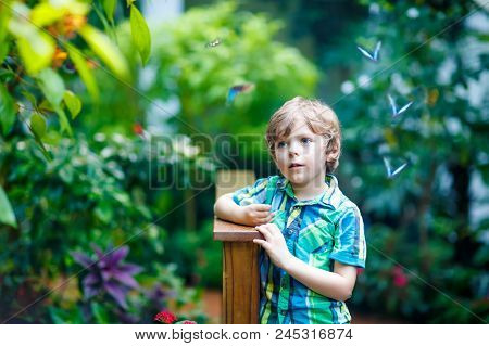 Little Blond Preschool Kid Boy Discovering Flowers And Butterflies At Botanic Garden. Fascinated Sch