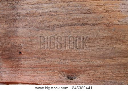 Pieces Of Cut Trees Old Wood Surface Caused By Cutting.
