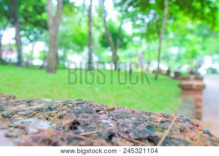 Abstrac Makes The Trees Look Blue And The Sky Is Beautiful. Use As Background Green From Nature Back