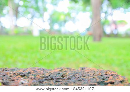 Abstrac Makes The Trees Look Blue And The Sky Is Beautiful. Use As Background Green From Nature Back