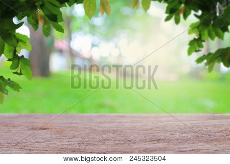 Abstrac Makes The Trees Look Blue And The Sky Is Beautiful. Use As Background Green From Nature Back
