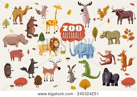 Big Set Of Wild Animals Cartoon Vectors. African, Australian, Asian, South And North American Fauna 