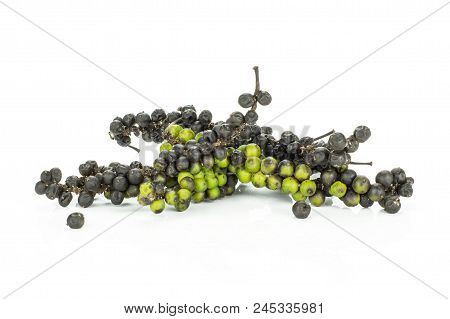 Unripe Green Drupes Of Fresh Black Pepper Isolated On White Background Three Vines Stack