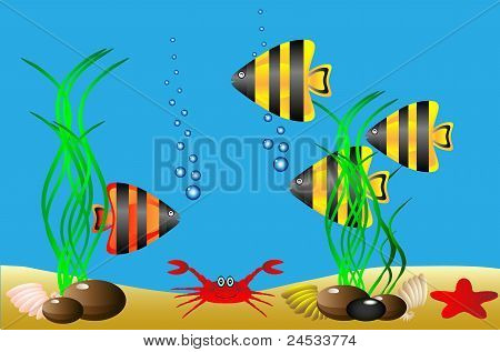 Sea life