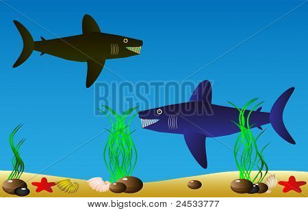 Sea life