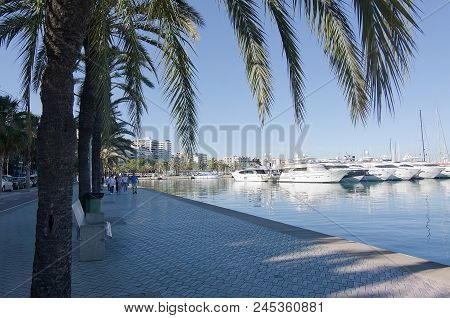 Palma De Mallorca, Spain - June 13, 2018: Palma Port Marina Yachts And Mediterranean Mood With Palm 