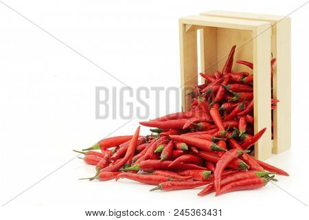 red rawit peppers  (Capsicum annuum 'Bird's Eye') in a wooden box on a white background