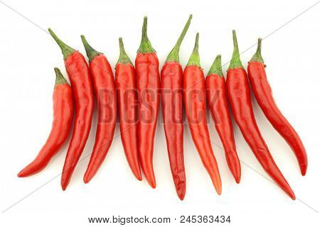 red rawit peppers (Capsicum annuum 'Bird's Eye') in a row on a white background