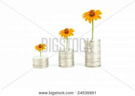 The Increase In Interest Rates