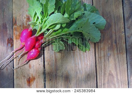 Fresh Aromatic Juicy Ripe Vegetables Radish And Juicy Greens Parsley Dill Pepper Bay Leaf Layout Pat