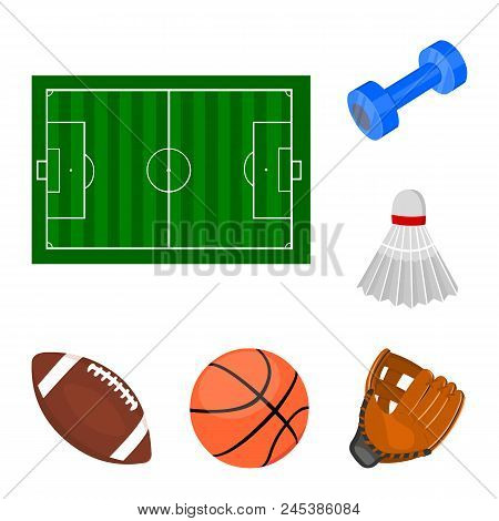 Different Kinds Of Sports Cartoon Icons In Set Collection For Design. Sport Equipment Vector Symbol 