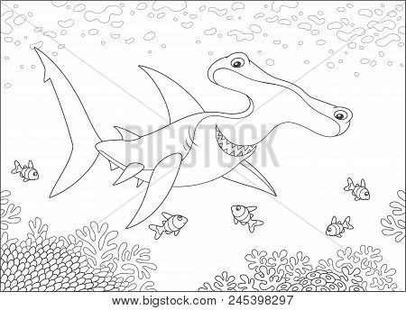 Big Hammer-headed Shark Swimming With Small Striped Fishes Over A Coral Reef In A Tropical Sea, Blac