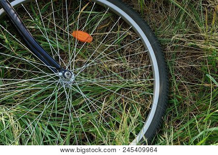 Part Of A Large Bicycle Wheel With A Rim And Knitting Needles On The Grass In The Park