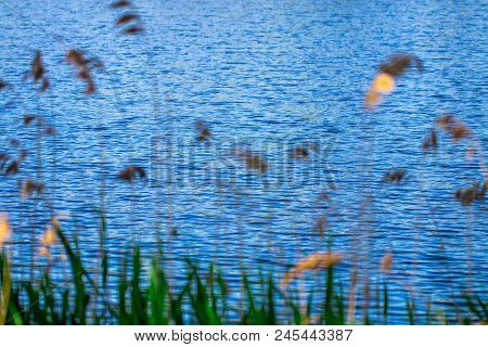 Lake And Green Meadow Near The Water In Sunny Day