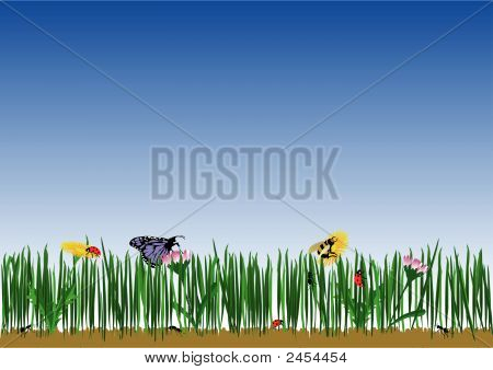 Grass.Eps
