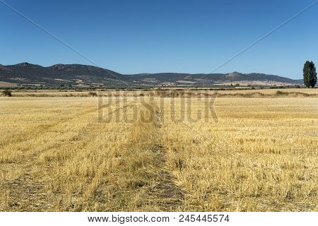 Stubble Fields In An Agricultural Landscape In Ciudad Real Province, Spain.