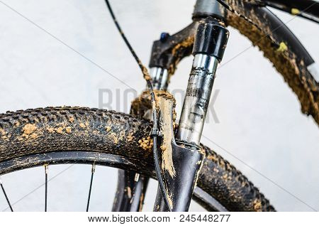 Dirty Bicycle Suspension Fork After Riding In Bad Weather