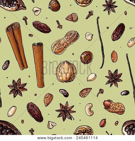 Pattern Nuts And Spices Line Drawn On A White Background. Sketch Of Food. Walnut, Cocoa Beans, Vanil