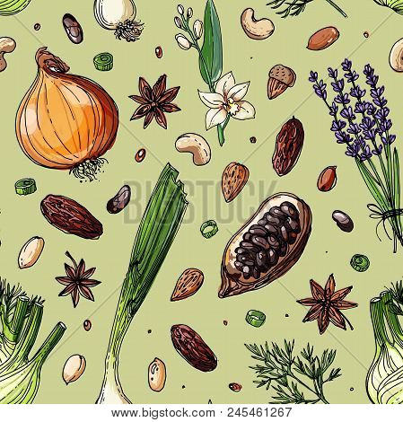 Pattern Nuts And Spices Line Drawn On A White Background. Sketch Of Food. Walnut, Cocoa Beans, Vanil