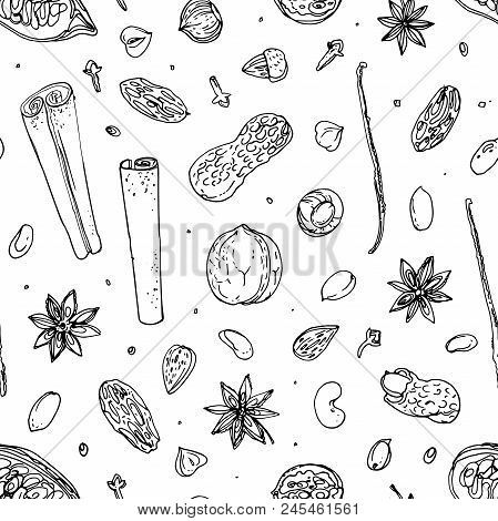 Pattern Nuts And Spices Line Drawn On A White Background. Sketch Of Food. Walnut, Cocoa Beans, Vanil