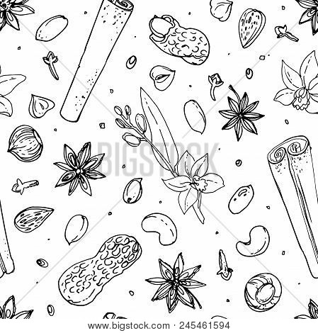 Pattern Nuts And Spices Line Drawn On A White Background. Sketch Of Food. Walnut, Cocoa Beans, Vanil