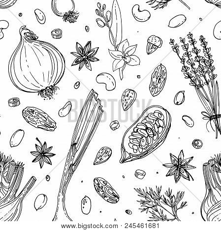 Pattern Nuts And Spices Line Drawn On A White Background. Sketch Of Food. Walnut, Cocoa Beans, Vanil
