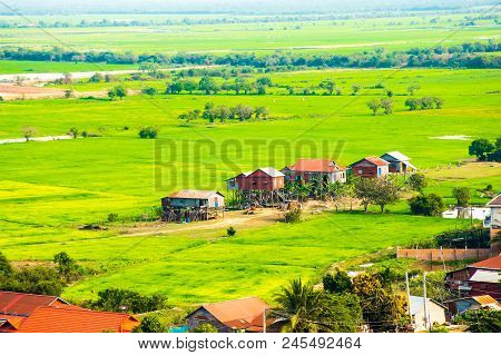 Floating Village Phnom Krom, Green Rice Fields In Tonle Sap, Siem Reap, Cambodia