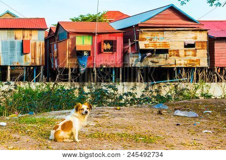 Poor Houses And Huts In Phnom Krom Village, Siem Reap In Cambodia