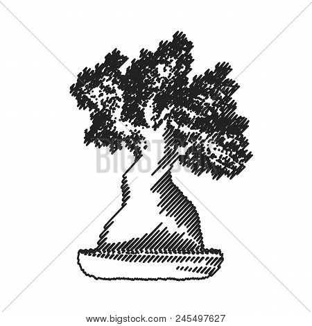 Isolated Banzai Tree Silhouette On White Background