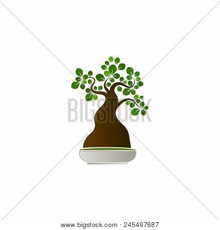 Isolated Banzai Tree Silhouette On White Background