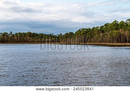 Tarkiln Bayou Preserve State Park Near Pensacola Florida Is A Must See If Your In The Area, Beauty E