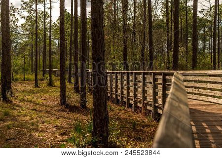 Tarkiln Bayou Preserve State Park Near Pensacola Florida Is A Must See If Your In The Area, Beauty E