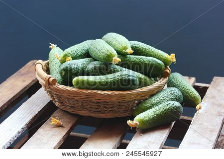Rustic Still Life. Basket Of Fresh Cucumbers. Food, Crop, Vegetable Garden.