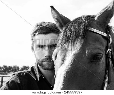 Good Looking, Hunky Cowboy Standing On Front Of His Stallion,  Horse With Black Shirt