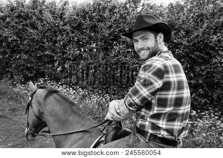 Good Looking, Hunky Cowboy Rides Horse With Boots, Chequered Shirt And Hat. Smiling At Camera