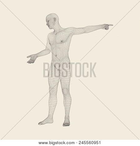 Man Pointing His Finger. 3d Model Of Man. Geometric Design. Vector Illustration. 3d Polygonal Coveri