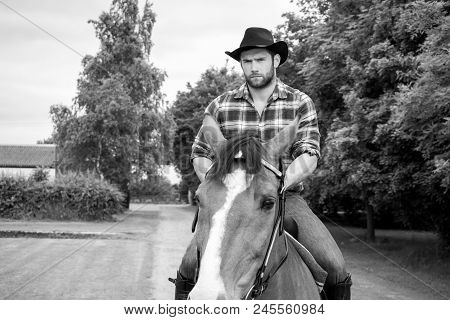 Good Looking, Hunky Cowboy Rides Horse With Boots, Chequered Shirt And Hat