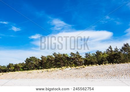 Dune On Shore Of The Baltic Sea In Prerow, Germany.