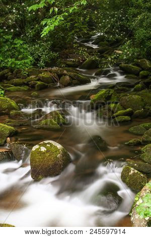 A Creek Flowing Over Mossy Rocks In A Forest.  Cosby, Great Smoky Mountains National Park, Usa.