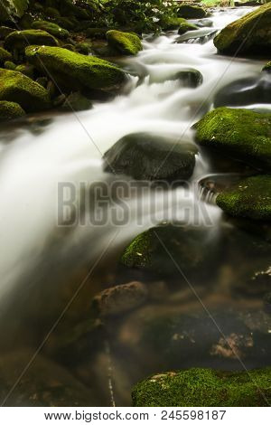 A Creek Flowing Over Mossy Rocks In A Forest.  Cosby, Great Smoky Mountains National Park, Usa.